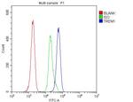 TREM1 Antibody in Flow Cytometry (Flow)