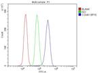 COX4 Antibody in Flow Cytometry (Flow)