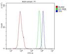 TPR Antibody in Flow Cytometry (Flow)