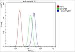 CACNA2D2 Antibody in Flow Cytometry (Flow)