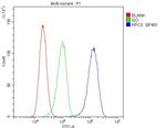 PPCS Antibody in Flow Cytometry (Flow)