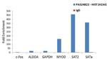 HIST1H2AG Antibody in ChIP Assay (ChIP)