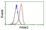 PANK2 Antibody in Flow Cytometry (Flow)