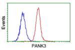 PANK3 Antibody in Flow Cytometry (Flow)