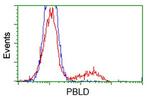 PBLD Antibody in Flow Cytometry (Flow)