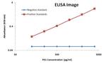 PDCD1 Antibody in ELISA (ELISA)