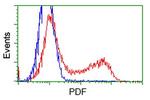 PDF Antibody in Flow Cytometry (Flow)