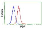 PDF Antibody in Flow Cytometry (Flow)