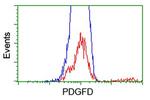 PDGFD Antibody in Flow Cytometry (Flow)