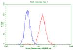 PDGFRB Antibody in Flow Cytometry (Flow)