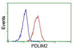 PDLIM2 Antibody in Flow Cytometry (Flow)