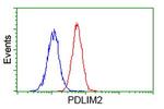 PDLIM2 Antibody in Flow Cytometry (Flow)