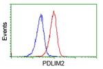 PDLIM2 Antibody in Flow Cytometry (Flow)