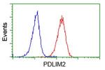 PDLIM2 Antibody in Flow Cytometry (Flow)