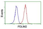 PDLIM2 Antibody in Flow Cytometry (Flow)