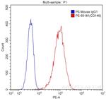 CD146 Antibody in Flow Cytometry (Flow)