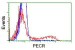 PECR Antibody in Flow Cytometry (Flow)
