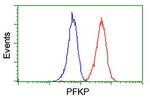 PFKP Antibody in Flow Cytometry (Flow)