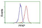 PFKP Antibody in Flow Cytometry (Flow)