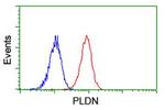 PLDN Antibody in Flow Cytometry (Flow)