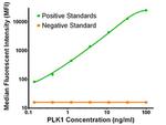 PLK1 Antibody in Luminex (LUM)