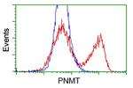 PNMT Antibody in Flow Cytometry (Flow)
