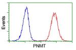 PNMT Antibody in Flow Cytometry (Flow)