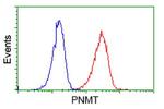 PNMT Antibody in Flow Cytometry (Flow)