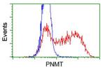 PNMT Antibody in Flow Cytometry (Flow)