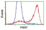 PNMT Antibody in Flow Cytometry (Flow)