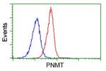 PNMT Antibody in Flow Cytometry (Flow)