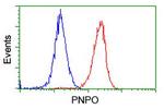 PNPO Antibody in Flow Cytometry (Flow)