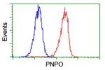 PNPO Antibody in Flow Cytometry (Flow)