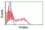 PPARA Antibody in Flow Cytometry (Flow)