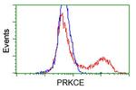 PRKCE Antibody in Flow Cytometry (Flow)