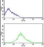 PACT Antibody in Flow Cytometry (Flow)