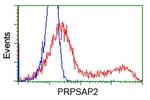PRPSAP2 Antibody in Flow Cytometry (Flow)