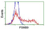 PSMB9 Antibody in Flow Cytometry (Flow)