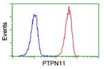 PTPN11 Antibody in Flow Cytometry (Flow)