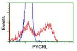 PYCRL Antibody in Flow Cytometry (Flow)