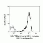 CD45 Antibody in Flow Cytometry (Flow)