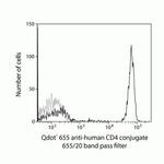 CD4 Antibody in Flow Cytometry (Flow)