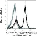 CD19 Antibody in Flow Cytometry (Flow)