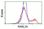 RABL2A Antibody in Flow Cytometry (Flow)