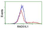 RAD51L1 Antibody in Flow Cytometry (Flow)