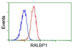 RALBP1 Antibody in Flow Cytometry (Flow)