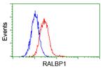 RALBP1 Antibody in Flow Cytometry (Flow)