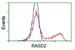 RASD2 Antibody in Flow Cytometry (Flow)