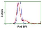 RASSF1 Antibody in Flow Cytometry (Flow)