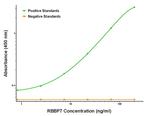 RBBP7 Antibody in ELISA (ELISA)